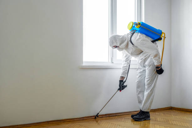 Best Bed Bug Extermination  in Lake Bluff, IL