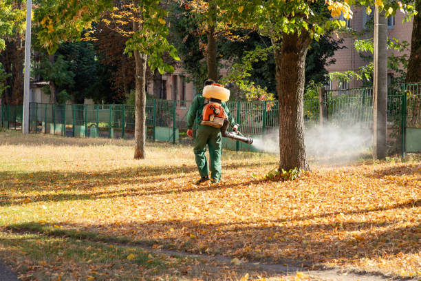  Lake Bluff, IL Pest Control Pros